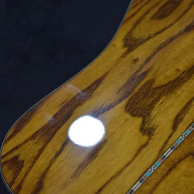 Washburn D46S12 Southwestern Series 12-String Acoustic Guitar w/Case #G05070031 image 23