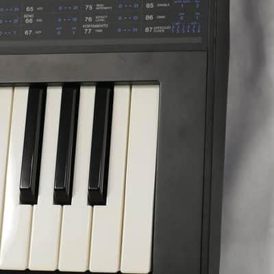 KORG DW-8000 + Case image 19