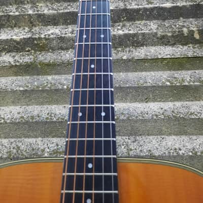 Ibanez V300 image 6