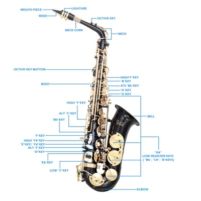Glarry Student Alto Saxophone E Flat Brass Sax with Case, Black image 6