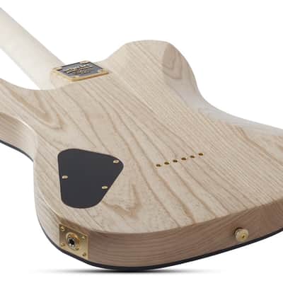 Schecter Meegs PT EX Charcoal Burst image 5