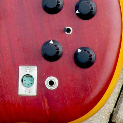 Alembic LSG Series I 12-string 1977 image 11