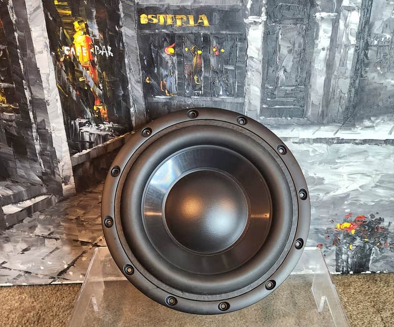 Paradigm Paradigm 10 inch raw woffer 90s  - Black image 1