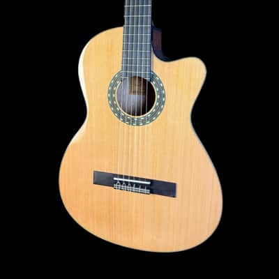 Santos Martinez SM500CE Electro-Acoustic Classical Guitar image 2