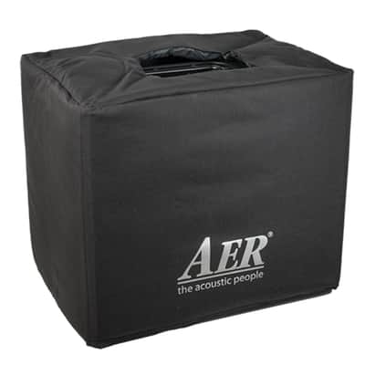 AER Domino 2A | 100W 2x8" +Tweeter Acoustic Combo. New with Full Warranty! image 4