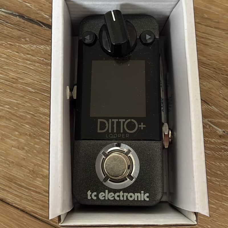 TC Electronic Ditto+ Looper 2020 - Present - Black image 1