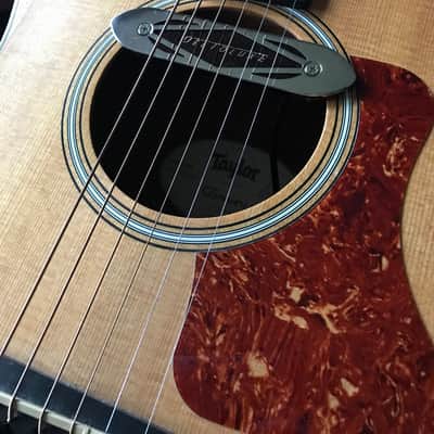 Taylor GS Mini Rosewood Limited 2012 image 3