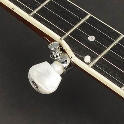 Richwood RMB-605 Bluegrass  Banjo image 4