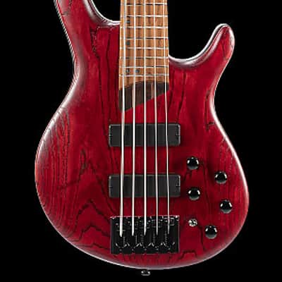 Cort B5ELEMENTOPBR Bolt-On Construction Mahogany Body 5Pcs Walnut & Panga Panga 5-String Bass Guitar image 3