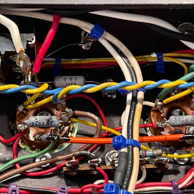 Dumble Overdrive Special with travel case image 16