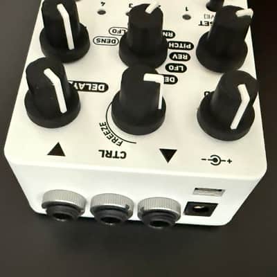Red Panda Particle 2 Granular Delay / Pitch Shifter 2019 - White image 6