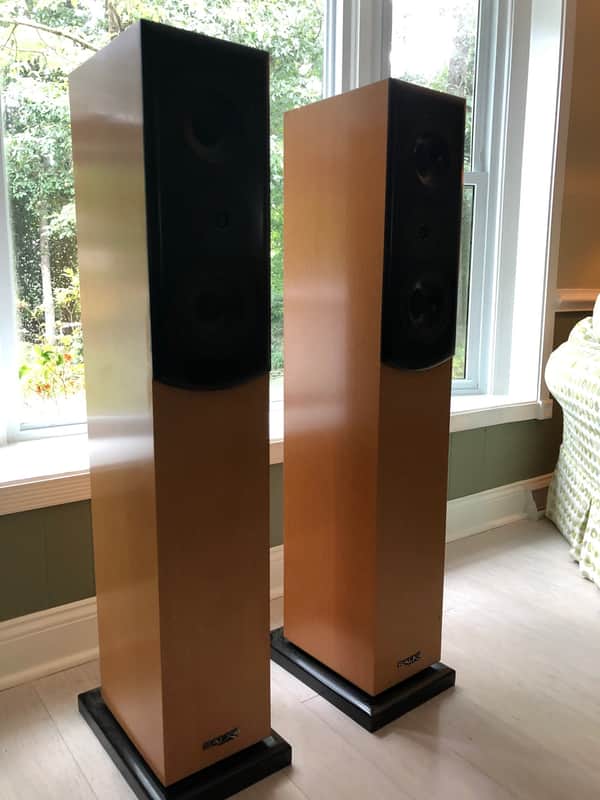 Salk SongTower QWT  Speakers image 1