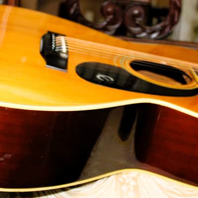 Epiphone/Norlin FT-130 MIJ Bolt on Neck image 9