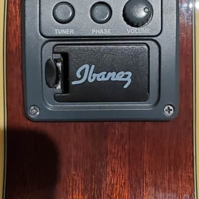Ibanez AEG12II-NMH Beginner Guitar w/ Hard Case image 3