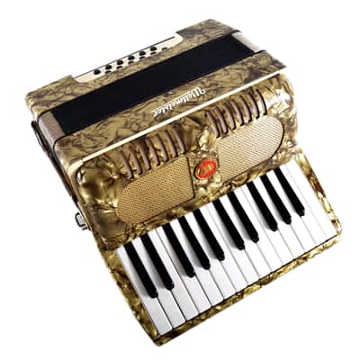 Immagine Vintage, Rare, German Made, Top Quality Accordion Weltmeister - 12 bass + Original Hard Case & Straps - from the Golden Era - 5
