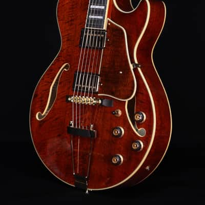 Ibanez AG95MGDA, AG Expressionist, Mango top/back/sides, Gold Hardware image 2