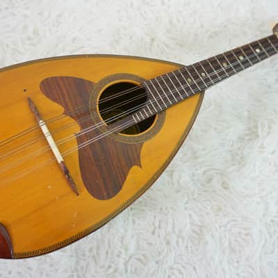 1968 Suzuki No. 228 Bowl Back Mandolin w/ Original Hard Case Japan image 4