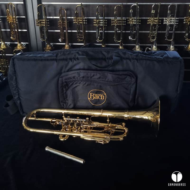 GOLDPLATED Thein Orchestral Matthias Höfs Bb rotary trumpet cover gamonbrass