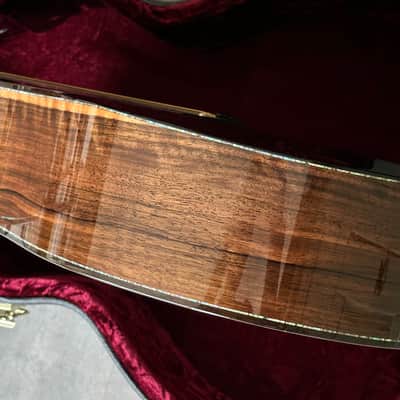 Taylor PS14CE Fall Limited Presentation Series Sinker Redwood/Macassar Ebony image 16