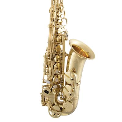 Selmer SAS711 Professional Eb Alto Saxophone - Brass Lacquer image 2