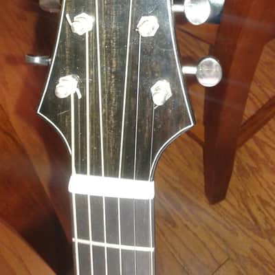 Poling Guitars Sierra 2013 Black and White Flamed Ebony image 7
