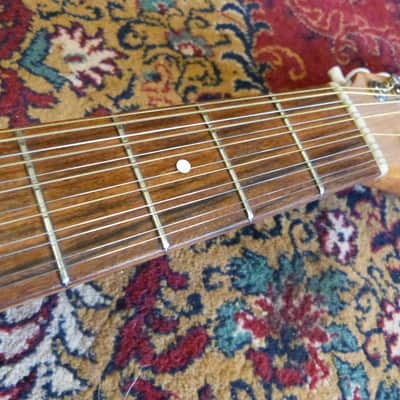 Giannini Craviola 12 String Electro Acoustic Guitar image 6