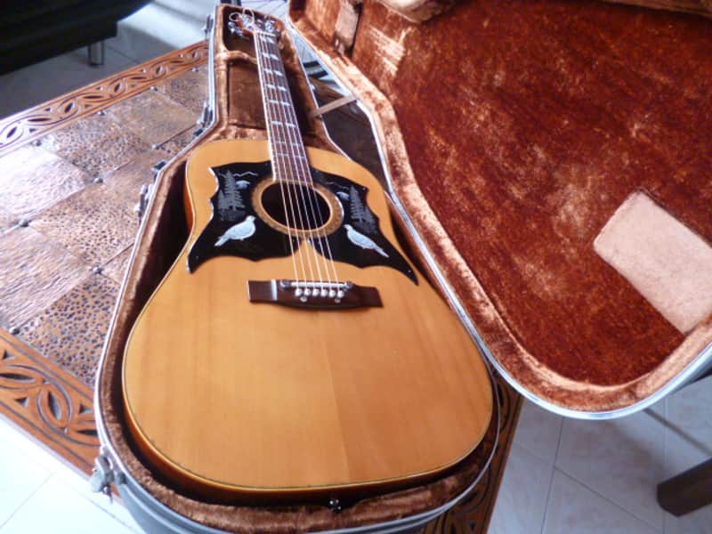 Immagine Ensenada  wg 66 Dreadnaught folk 1970 natural - 1