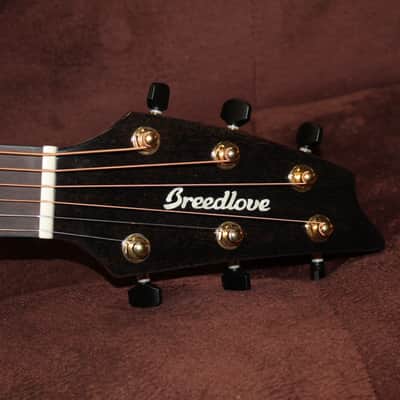 2024 Breedlove Solo Pro Series Concert Edgeburst CE image 4
