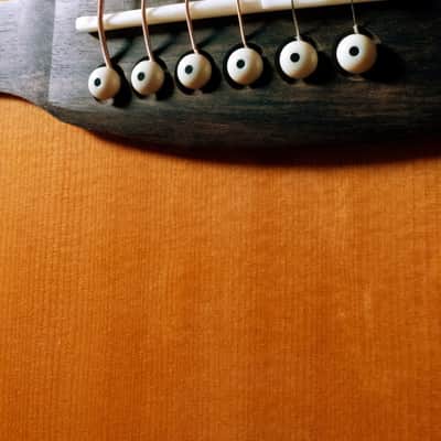 PRS SE A60E Angelus + Hard Case image 9