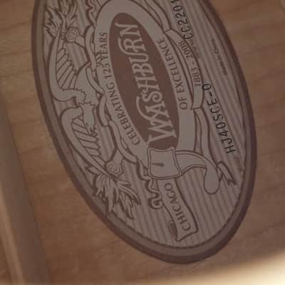 Washburn HJ40SCE Heritage Jumbo with Electronics 2010s - Natural image 6