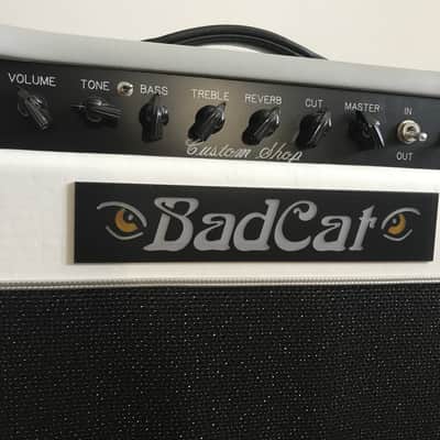 Bad Cat Cub II Custom Shop 2007 Grey/White image 2
