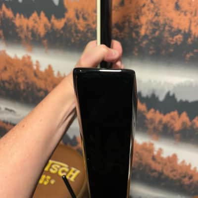 ESP LTD SD-2 Sammy Duet Signature + ESP Hard Case image 10