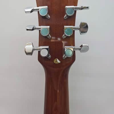 Washburn WSHAGPAKQTTB Acoustic Guitar 2024 - Tobacco Burst image 6