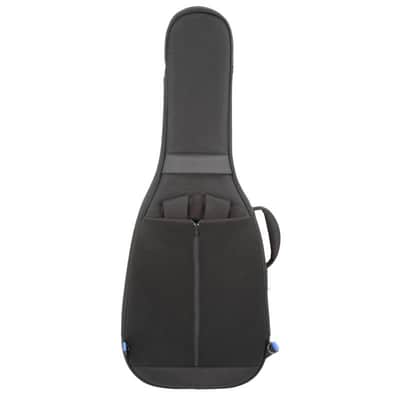 Reunion Blues Expedition - Small Body Acoustic Case image 5