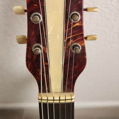 Hofner Club 50 1955/56 - natural image 2