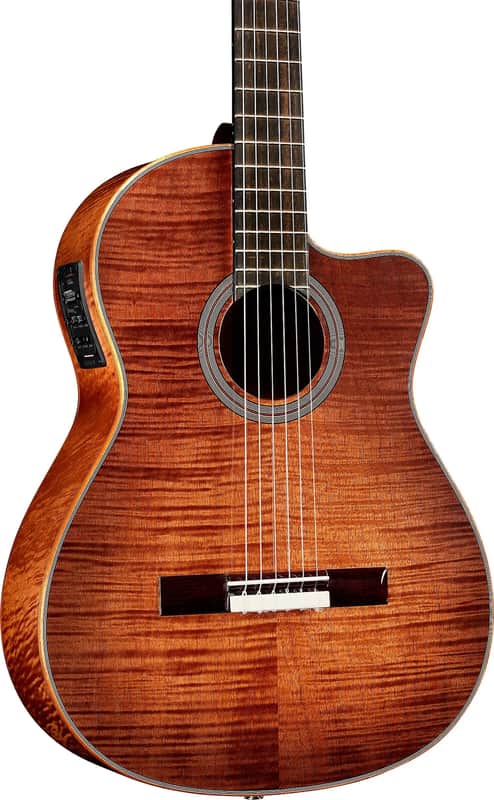 Cordoba Fusion 12 Exotic Acoustic-Electric Classical Guitar, Flamed Okoume Top, Cinnamon Burst image 1