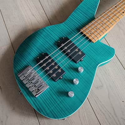 Reverend Mercalli 5 2020 - Teal image 1