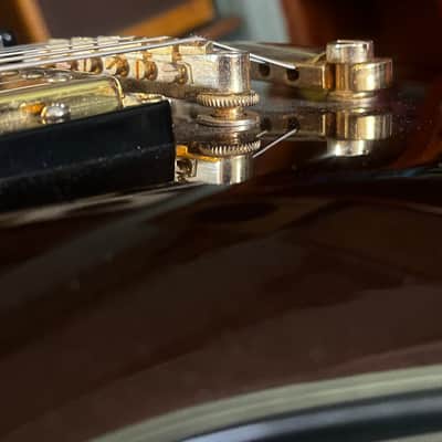 Greg Bennett Torino TR-2/MBC – Metallic Brown – Dual Humbuckers – Duncan Designed image 16