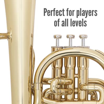 Odyssey Debut 'Eb' Tenor Horn Outfit with Case image 4
