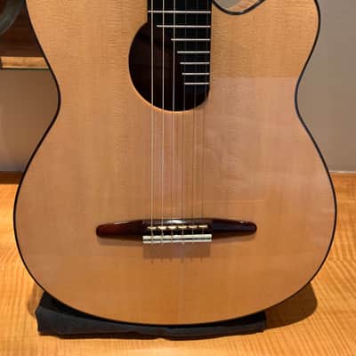 * * * McGill "SUPER ACE" Acoustic Guitar * * * image 17