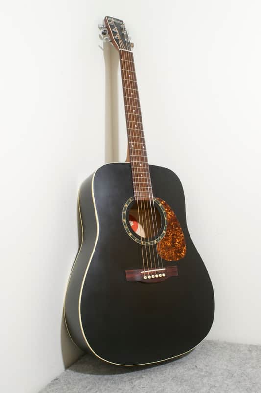 New Norman Protege B18 Cedar Acoustic Guitar Black Store Demo W