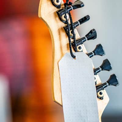 Leonardo Orsi Custom 7-String – 2018 Exhibition Model – Handcrafted, lightweight "Workhorse" with Premium Aesthetics image 10