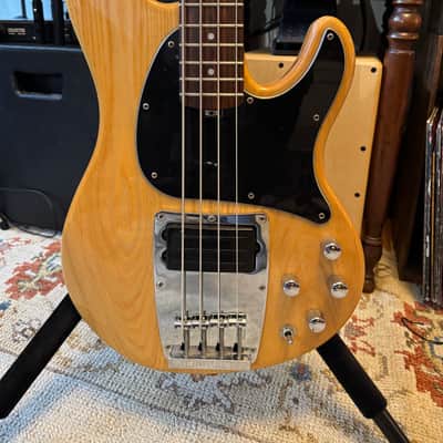 Ibanez ATK310 image 2