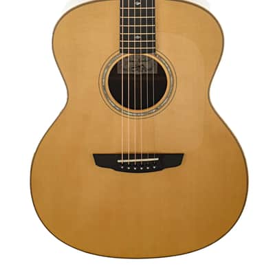 Goodall Mahogany Concert Jumbo Guitar #6199 image 1