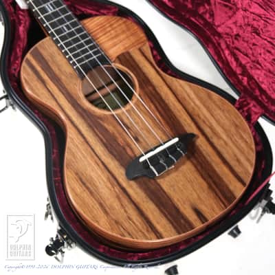 TODA GUITARS <MIJ>VB ALL Wild Mango 2026 image 15