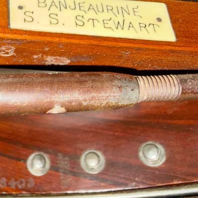 S S Stewart Banjeaurine C-1890 Banjo image 8