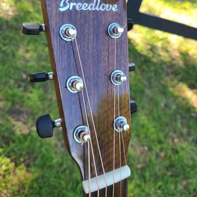Breedlove Signature Concerto Copper CE – Organic Collection 2019 image 3