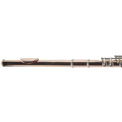 William S. Haynes Custom 14K Gold Flute with Gold Toneholes, Offset G, C# Trill image 11