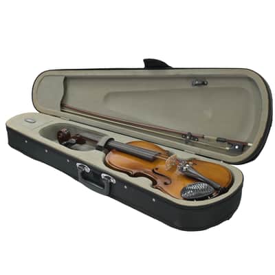 Violin 4/4 ''Ragalini'' image 8