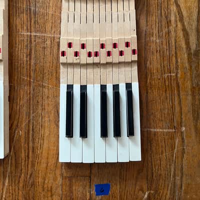 Fender Rhodes REPLACEMENT KEYS, 1 octave (1974) (listing 6 of 7) image 1